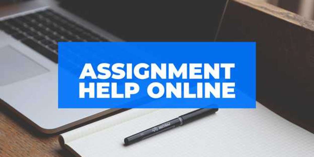 Streamline Your Studies with the Help of an Assignment Expert