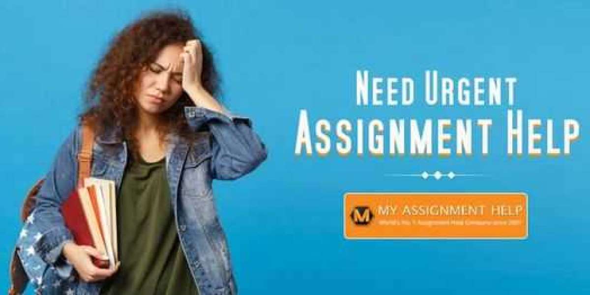 How the Best Assignment Help Company Can Help You Achieve Academic Success