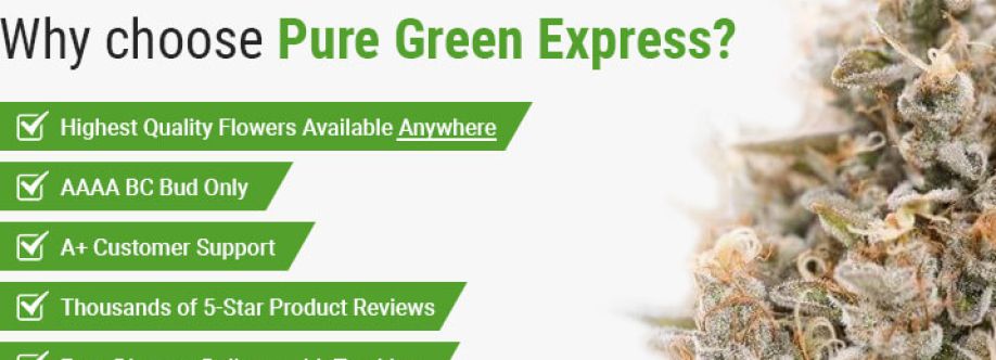 Pure Green Express Cover Image