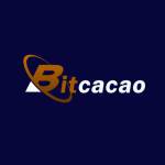 Bitcacao trade Profile Picture