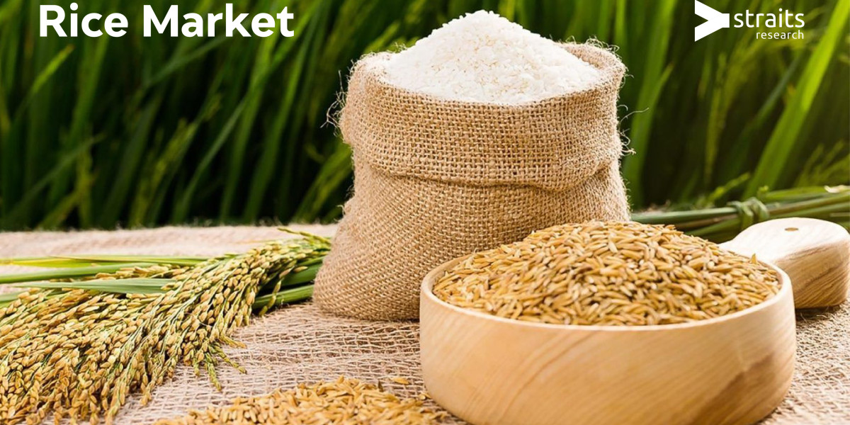 Rice Market Research | Industry Growing with Current Market Trends