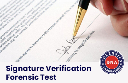 Signature Verification for Forgery Detection