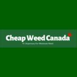 Online Dispensary Canada Profile Picture