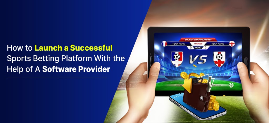 How to Launch a Successful Sports Betting Platform with The Help of a Software Provider