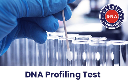 How DNA Profiling Works?