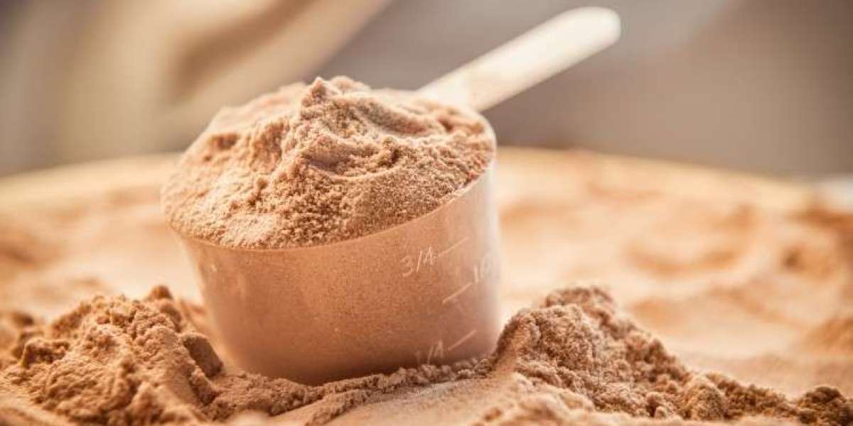 Detailed Project Report on Whey Protein Manufacturing Plant 2023 | Syndicated Analytics