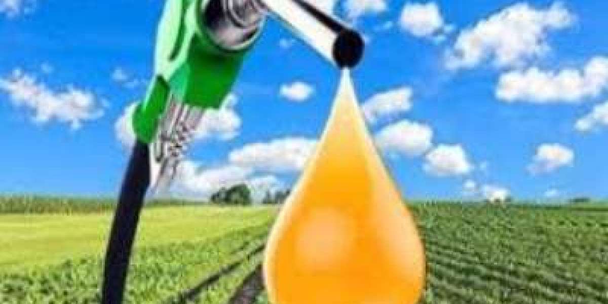 Biodiesel Market Size to Surge $51.35 Billion By 2030