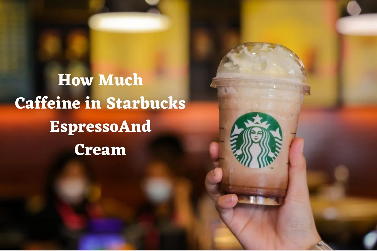 How Much Caffeine in Starbucks Espresso And Cream: Uncovering the Buzz - The Kitchen Kits