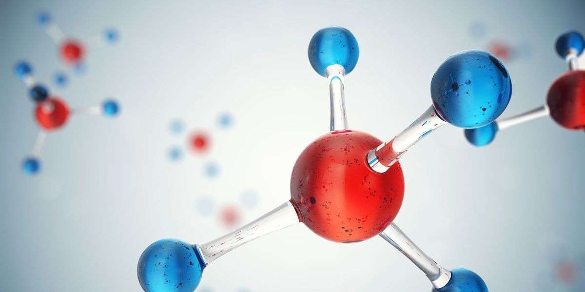 Metabolomics Market Size 2023 | Industry Share and Forecast 2028
