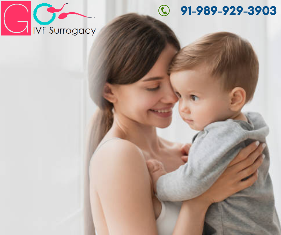 Why choose the best Surrogacy in Lucknow - GO IVF SURROGACY
