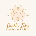 Oodle Life Profile Picture
