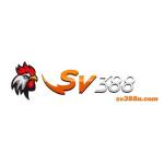 Sv388 Ucom Profile Picture