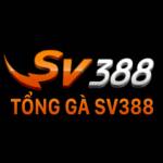 SV388 Tổng Profile Picture