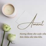 Nến thơm Amant Profile Picture