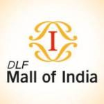 DLF Mall of India Profile Picture