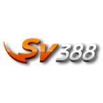 SCV388 vn Profile Picture