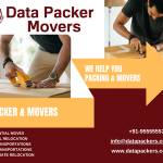 data packers movers Profile Picture