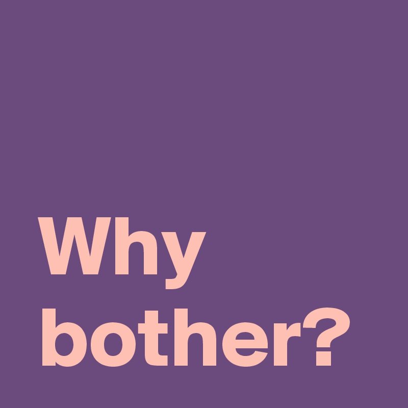 Why Bother Merch - Official Store