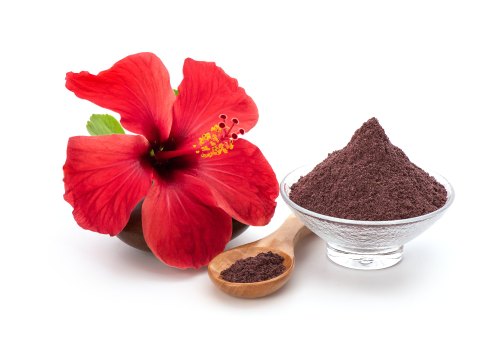 Original Hibiscus flower powder online | Online hibiscus powder