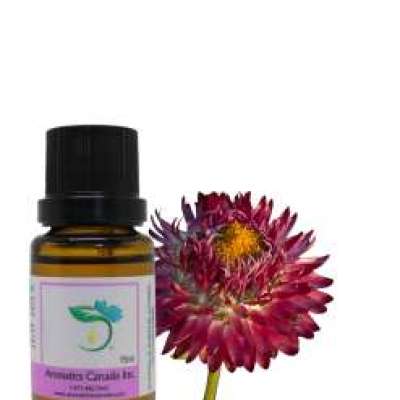 Helichrysum (Africa) Essential Oil Profile Picture
