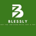 Blessly Llc Profile Picture