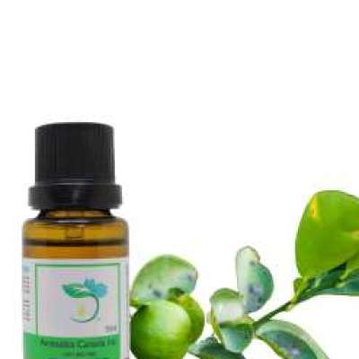 Lime Organic Essential Oil Profile Picture