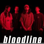 Bloodline Merch Profile Picture