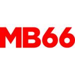 mb66 shop Profile Picture