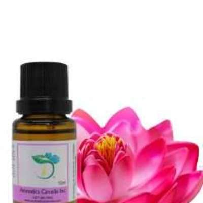 Lotus Pink 3% Dilution Profile Picture