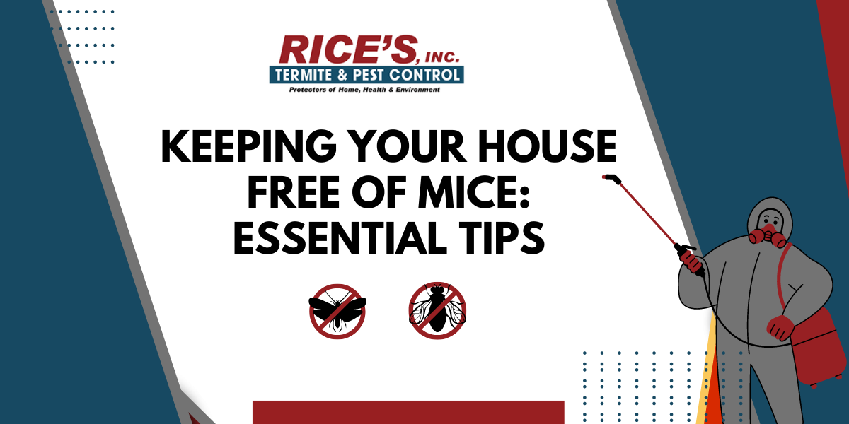 Keeping Your House Free of Mice: Essential Tips