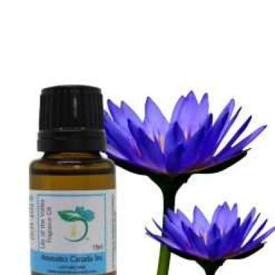 Lotus – Blue Absolute Oil Profile Picture