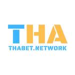 Thabet network Profile Picture