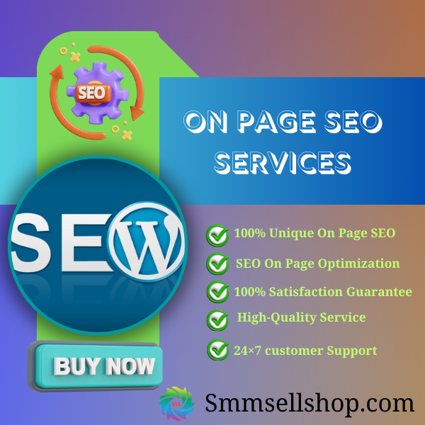 On Page SEO Services - SEO Agency For Websites..