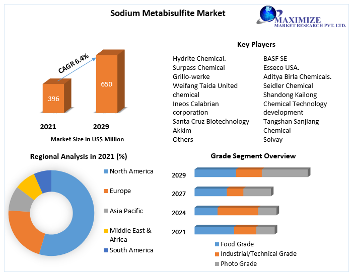 Sodium Metabisulfite Market: Global Industry Analysis and Forecast