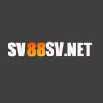 SV88sv Net Profile Picture