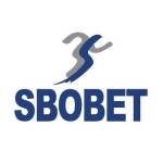 Sbobet blue com Profile Picture