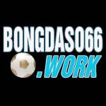 bongdaso66 work Profile Picture