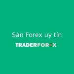Sàn Forex Uy Tín Profile Picture