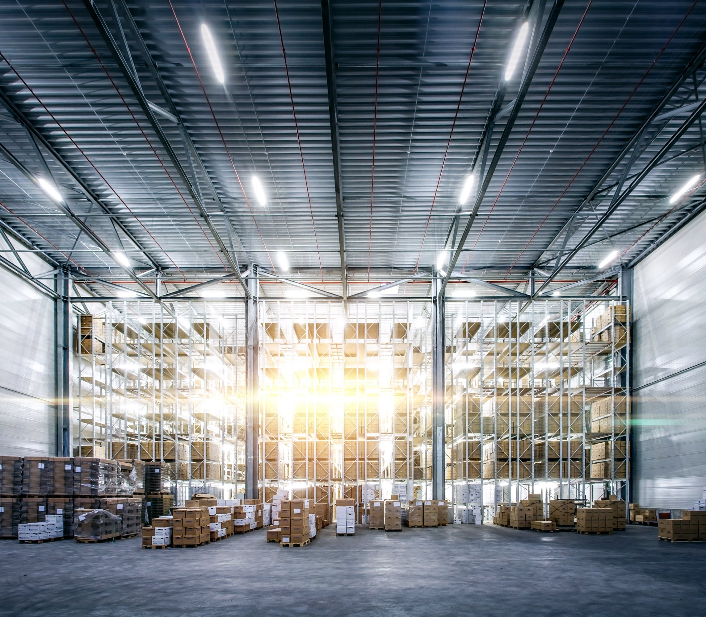 Warehousing Solutions - Efficient Storage and Distribution | RHENUS Group India