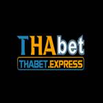 thabet express Profile Picture