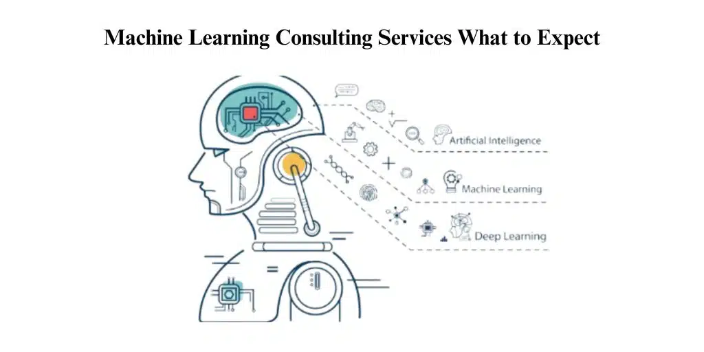 Machine Learning Consulting Services What To Expect In 2024