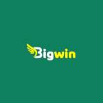 Bigwin Casino Profile Picture