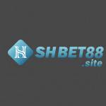 Shbet88 Site Profile Picture