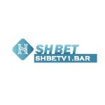 SHBETV1 bar Profile Picture
