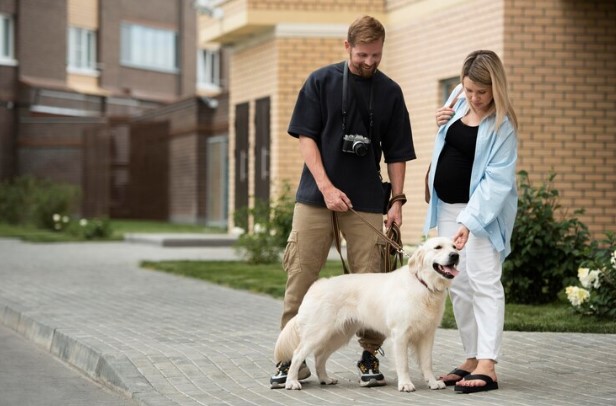 How Service Dogs Become Lifelong Companions?
